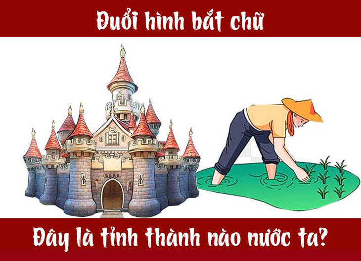 dhbc1