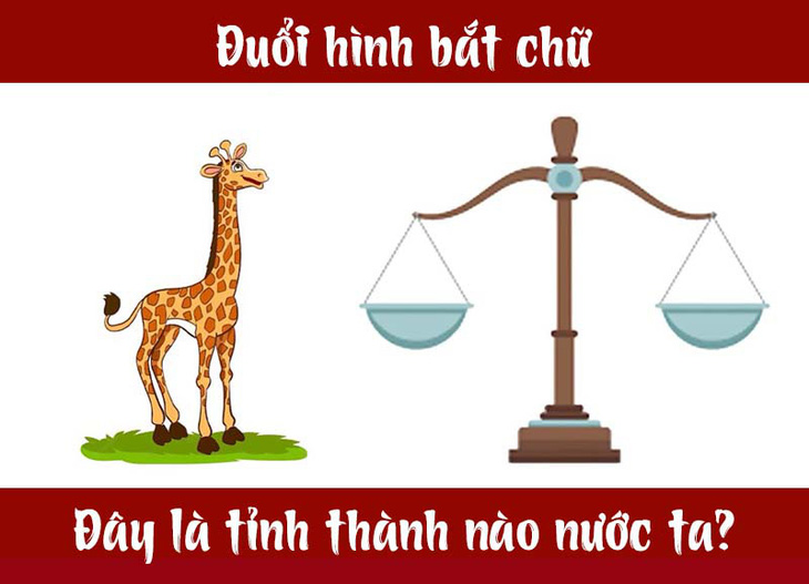 dhbc3