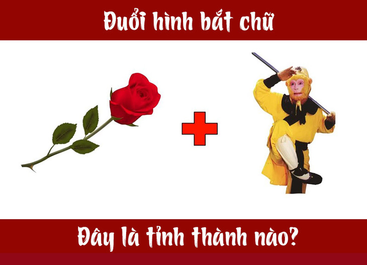 dhbc4