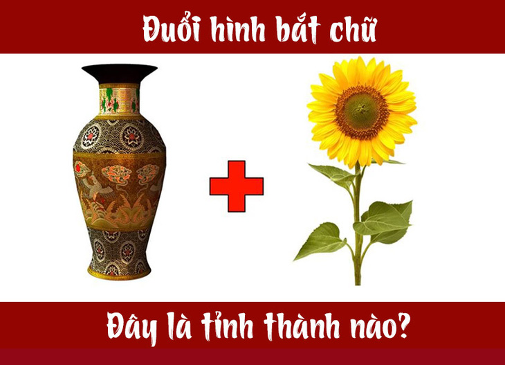 dhbc5