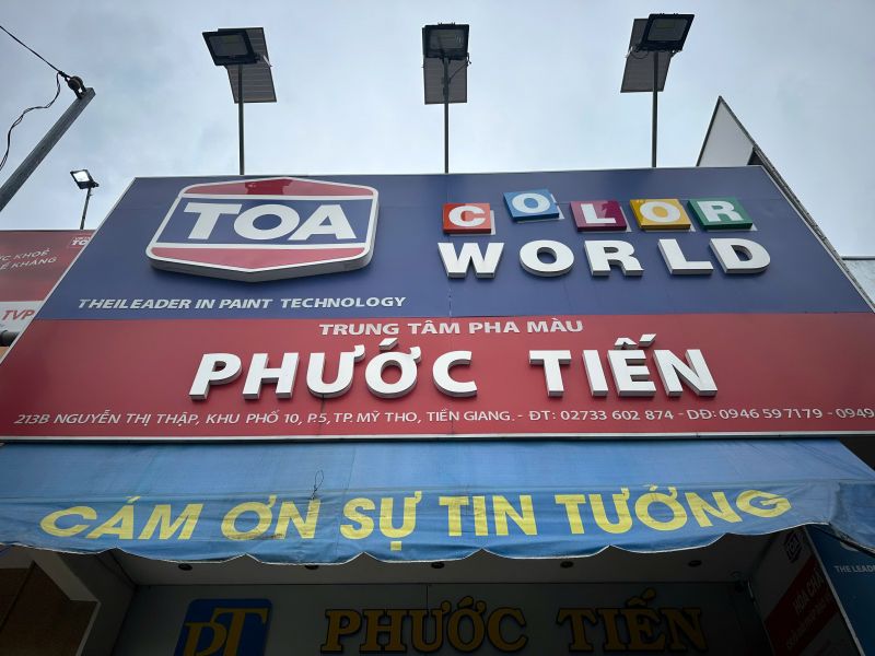 Màu Sắc Theo Phong Thuỷ Cho Mệnh Mộc (cập nhật 2025)